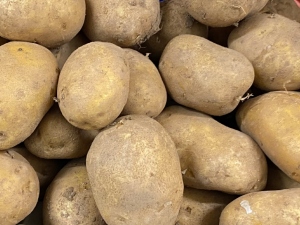PATATA AGRIA